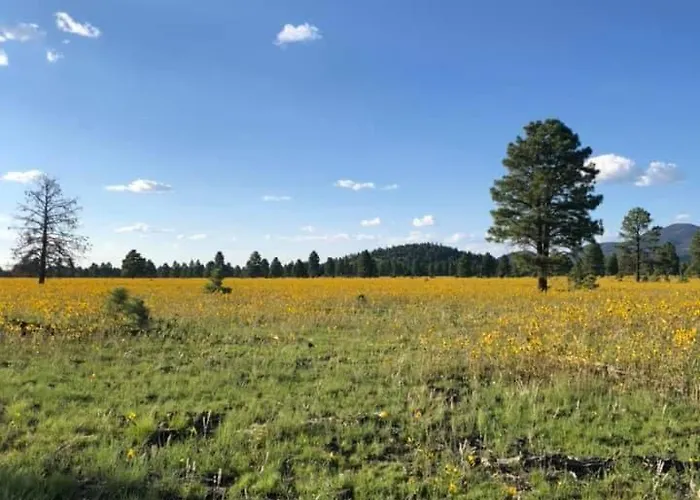 Holiday home The Rustic Retreat - Cozy In The Pines! Close To The Polar Express, Grand Canyon & Bearizona Williams