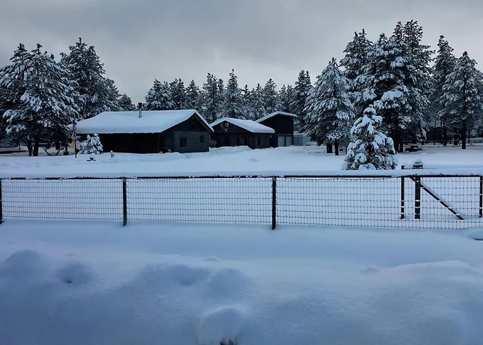 The Rustic Retreat - Cozy In The Pines! Close To The Polar Express, Grand Canyon & Bearizona Holiday home