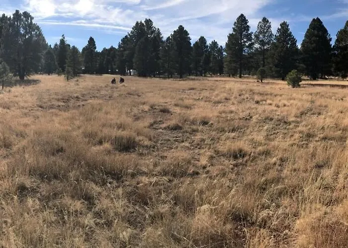 Holiday home The Rustic Retreat - Cozy In The Pines! Close To The Polar Express, Grand Canyon & Bearizona *